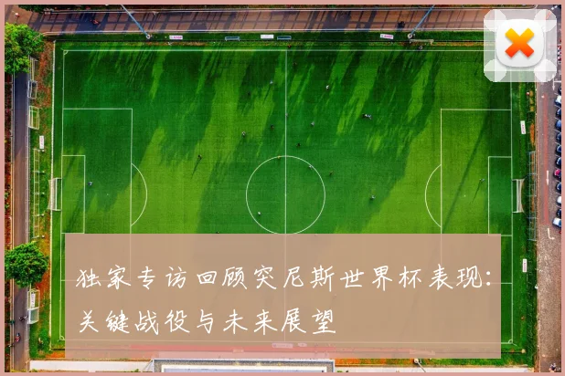 独家专访回顾突尼斯世界杯表现：关键战役与未来展望