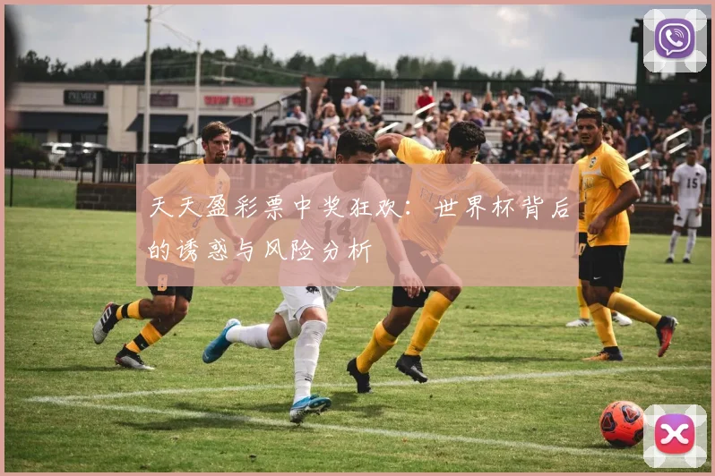 天天盈彩票中奖狂欢：世界杯背后的诱惑与风险分析