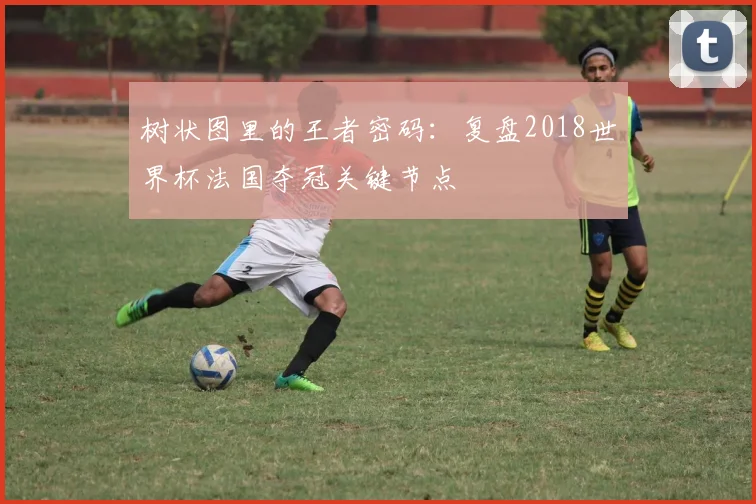 树状图里的王者密码：复盘2018世界杯法国夺冠关键节点