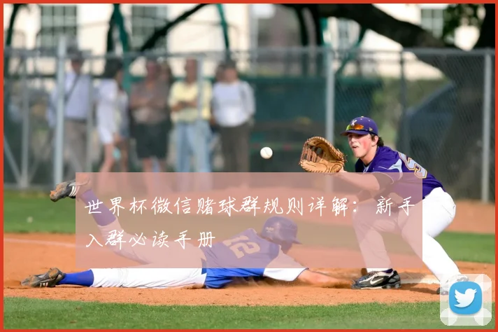 世界杯微信赌球群规则详解：新手入群必读手册